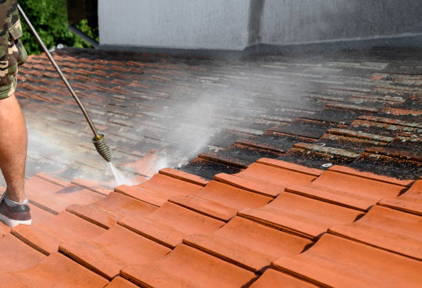 Best Sidewalk Pressure Washing  in Hayward, CA