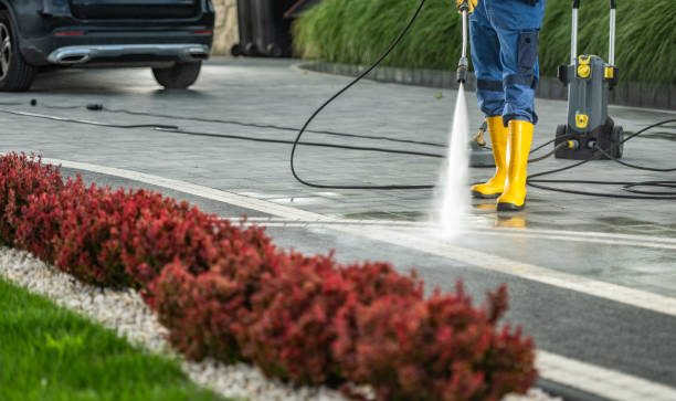Best Concrete Pressure Washing  in Hayward, CA
