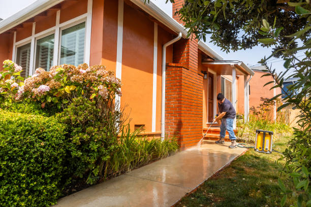 Best Pressure Washing Patio  in Hayward, CA