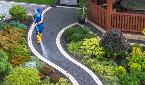 Best Deck Cleaning Services  in Hayward, CA
